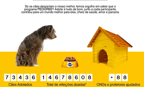 Pedigree: Adotar é tudo de bom